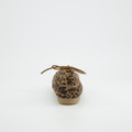 Paul Green 1136-048 - Braun / Leo-Look - Seitenansicht
