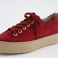 Paul Green 4790-768 - Rot