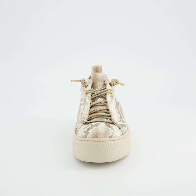 Paul Green 5317-079 - Beige,kombiniert - Frontansicht