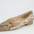 Paul Green 3772-209 - Beige / Reptiloptik