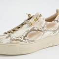 Paul Green 5317-079 - Beige,kombiniert