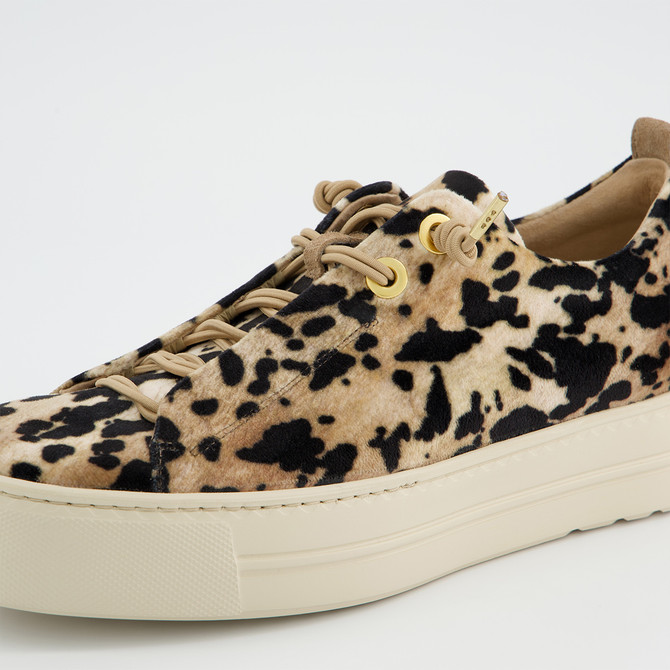 Paul Green 5547-029 - Beige / Leo-Look
